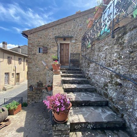 Vila Panoramic Nest In Montalcino Exteriér fotografie